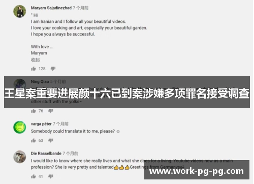 王星案重要进展颜十六已到案涉嫌多项罪名接受调查